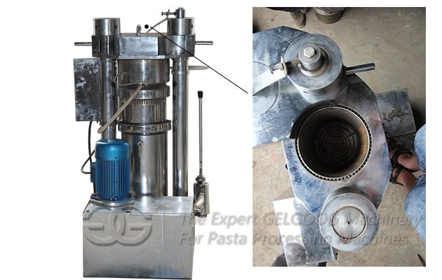 Hydraumatic Sesame Oil Press Machine|Hemp Oil Mill Machine