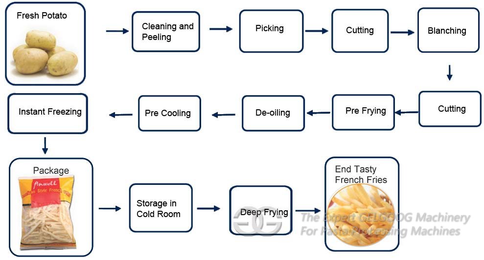 French fries Production Process